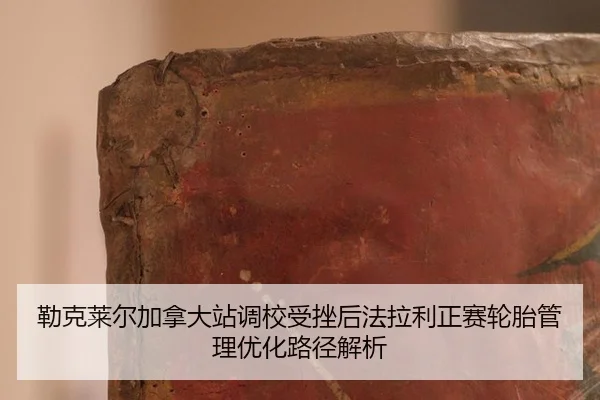lei-ke-lai-er-jia-na-da-zhan-diao-xiao-shou-cuo-hou-fa-la-li-zheng-sai-lun-tai-guan-li-you-hua-lu-jing-jie-xi-2-260.jpg